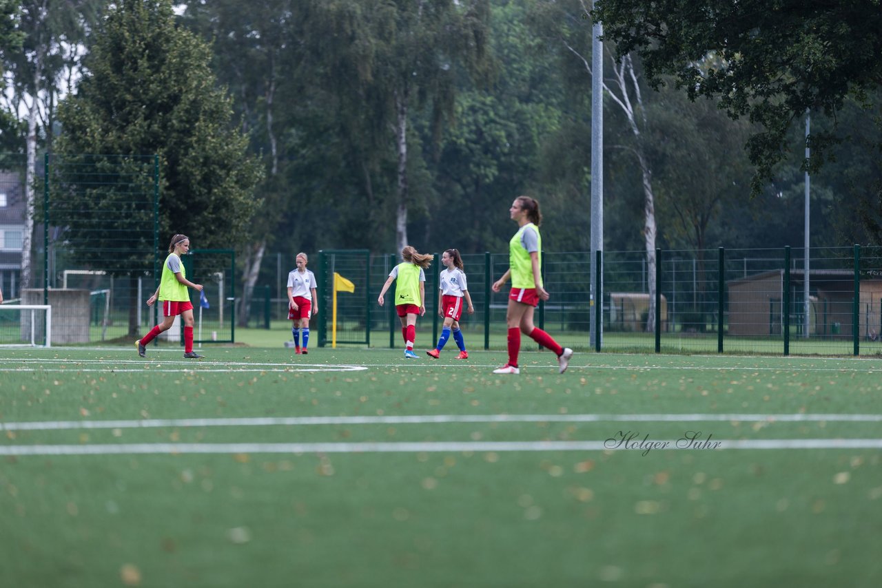 Bild 348 - C-Juniorinnen HSV - Walddoerfer : Ergebnis: 9:1